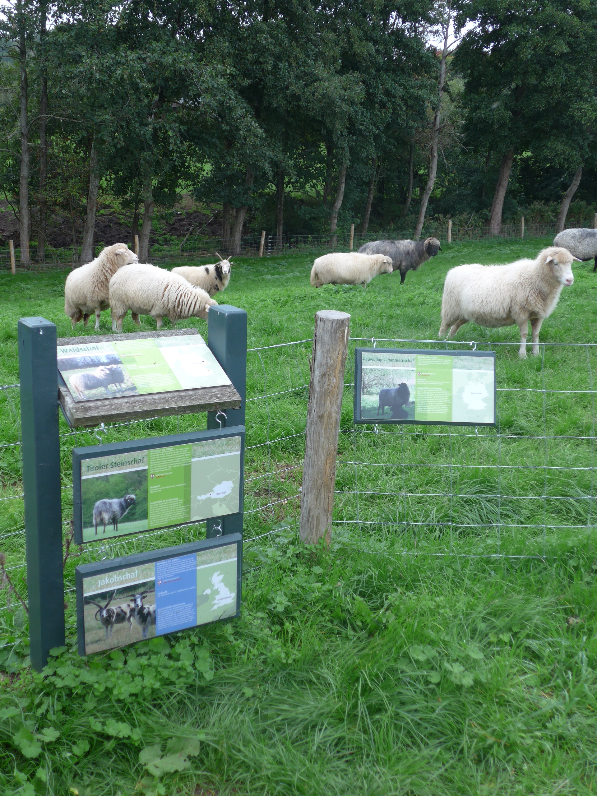 Arche Warder Bildungszentrum / Erlebniskontor Erlebniskontor